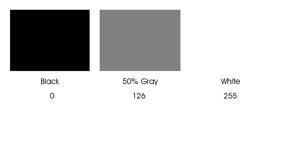 The 256 levels represent visual density ranging from black through white.